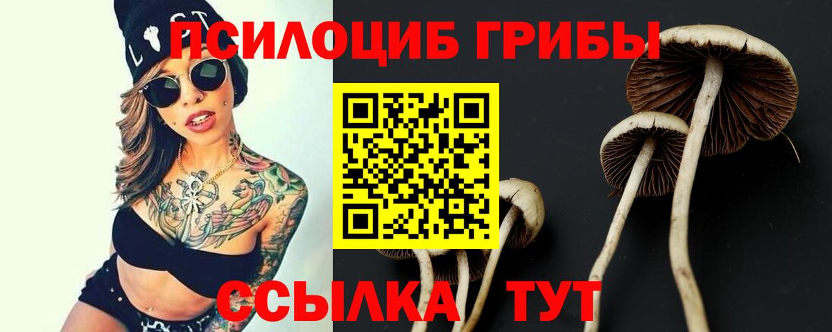 Псилоцибиновые грибы GOLDEN TEACHER  Вход с VPN  Галлюциногенные грибы Magic Shrooms  Искитим 