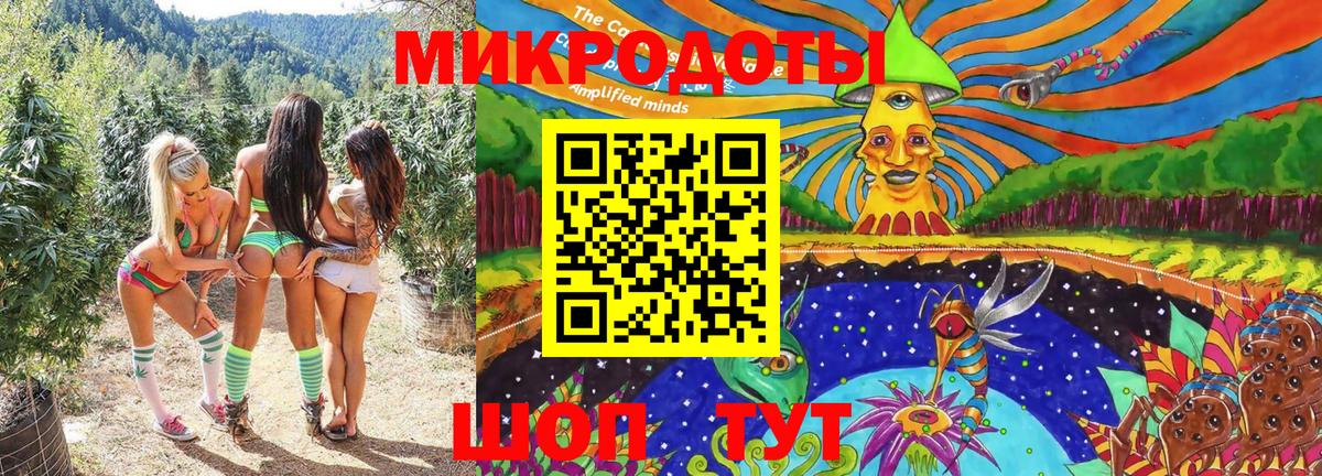 Галлюциногенные грибы Cubensis Искитим