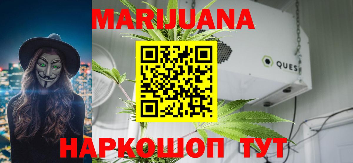 Марихуана сатива Искитим